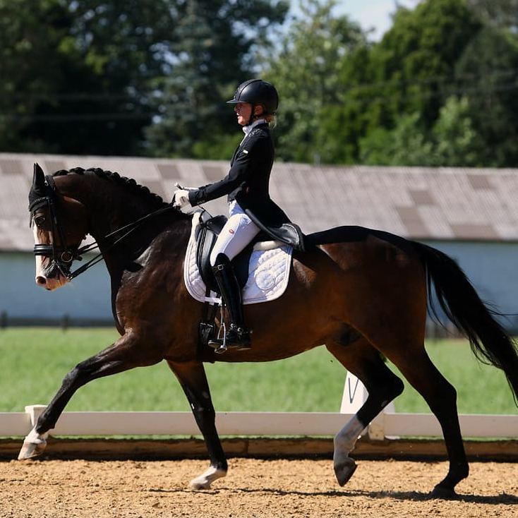 Dressurstall Sessler
