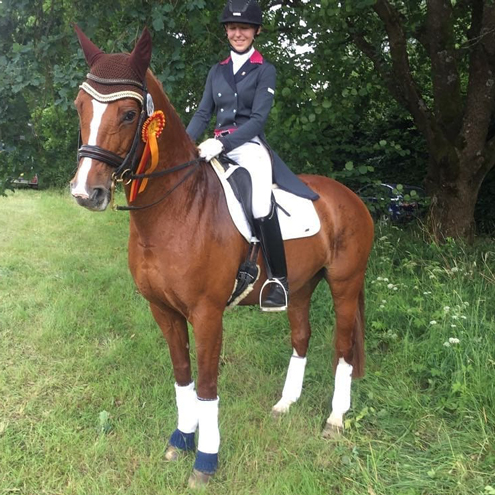 Dressurstall Sessler