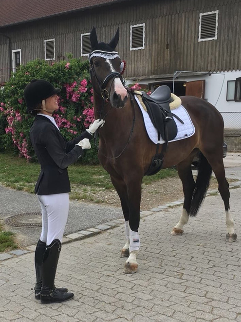 Dressurstall Sessler