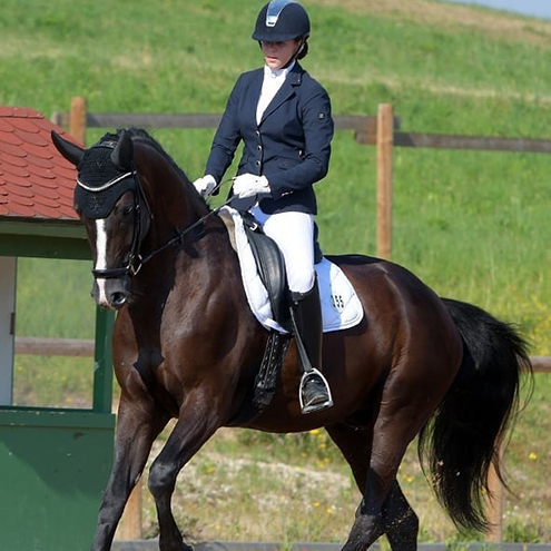 Dressurstall Sessler