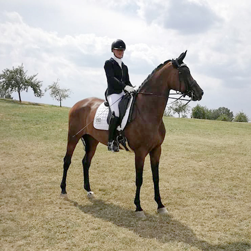Dressurstall Sessler