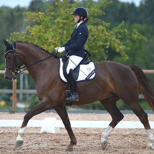 Dressurstall Sessler