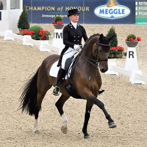 Dressurstall Sessler