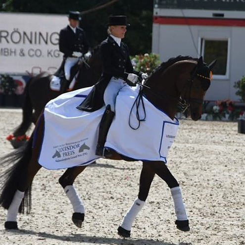 Dressurstall Sessler