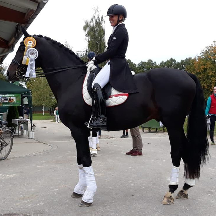 Dressurstall Sessler