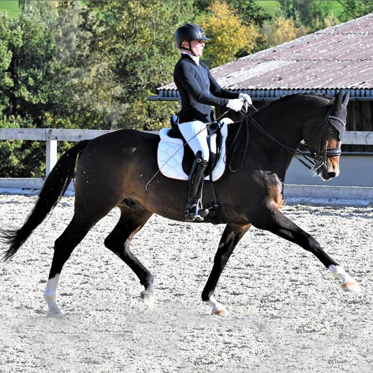Dressurstall Sessler
