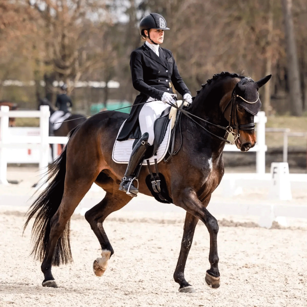 Dressurstall Sessler