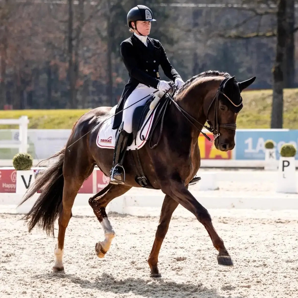 Dressurstall Sessler