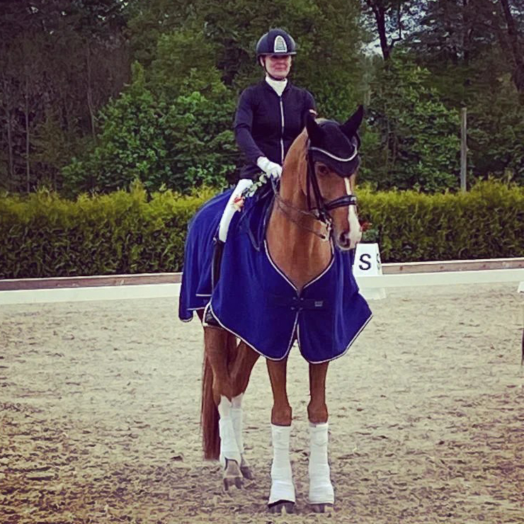 Dressurstall Sessler