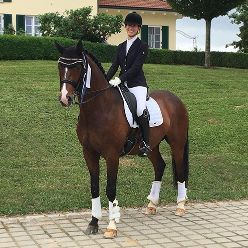 Dressurstall Sessler