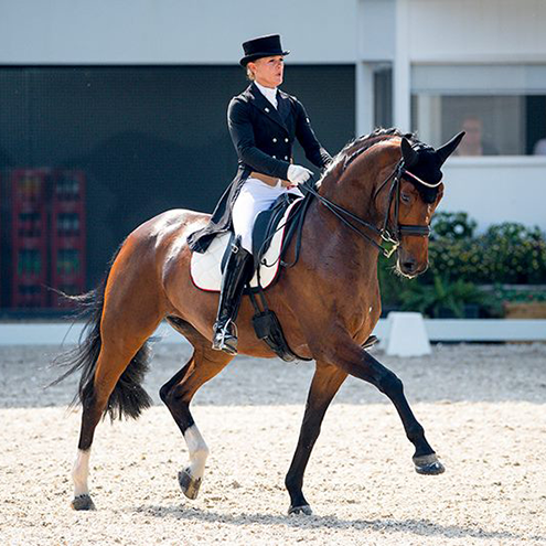Dressurstall Sessler