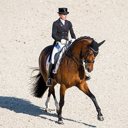 Dressurstall Sessler