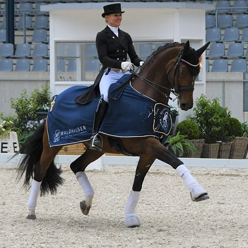 Dressurstall Sessler